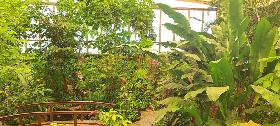 20230813_141449 Mariposario del Drago