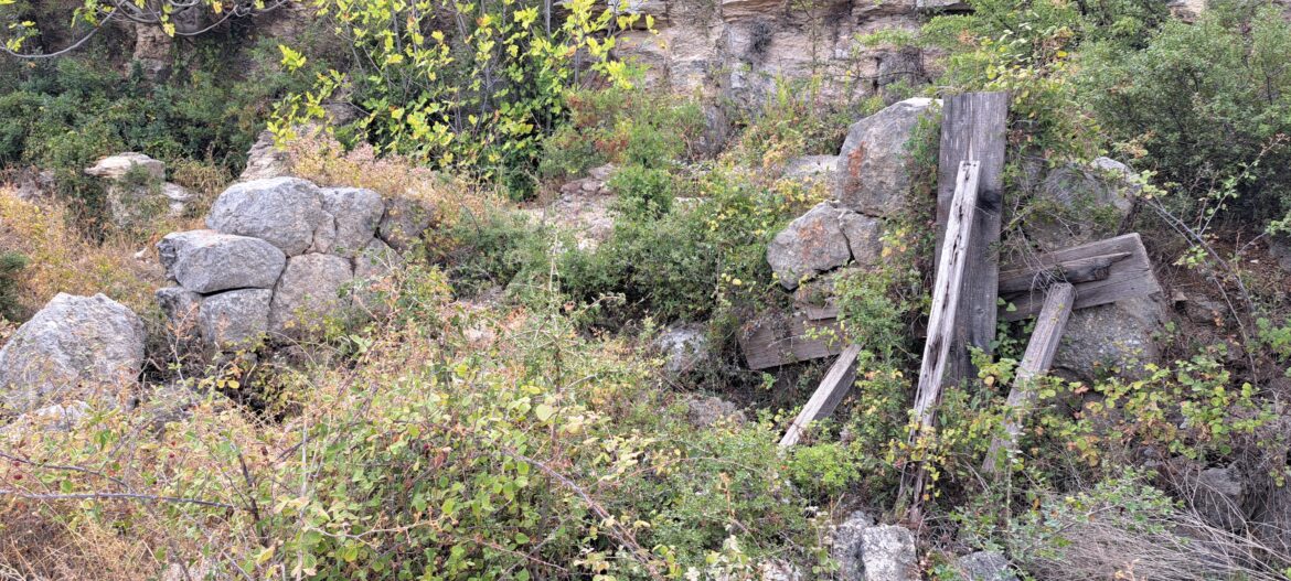 20241020_110817 ιερό του Πτώου Απόλλωνος