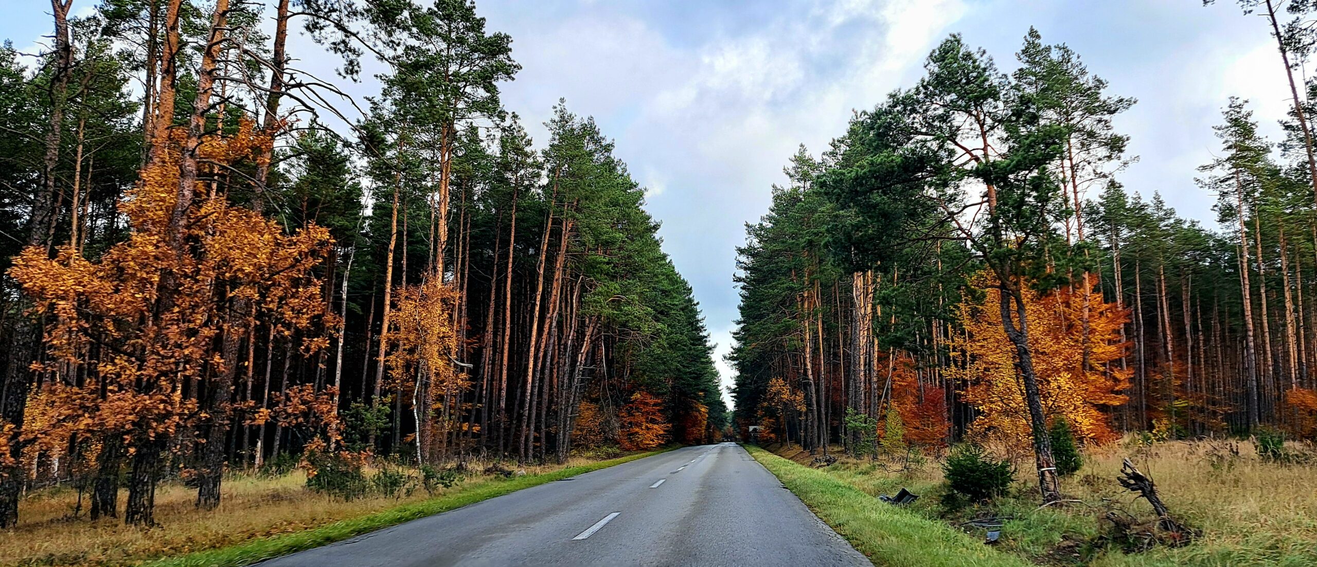 Trail of the Eagles' Nests