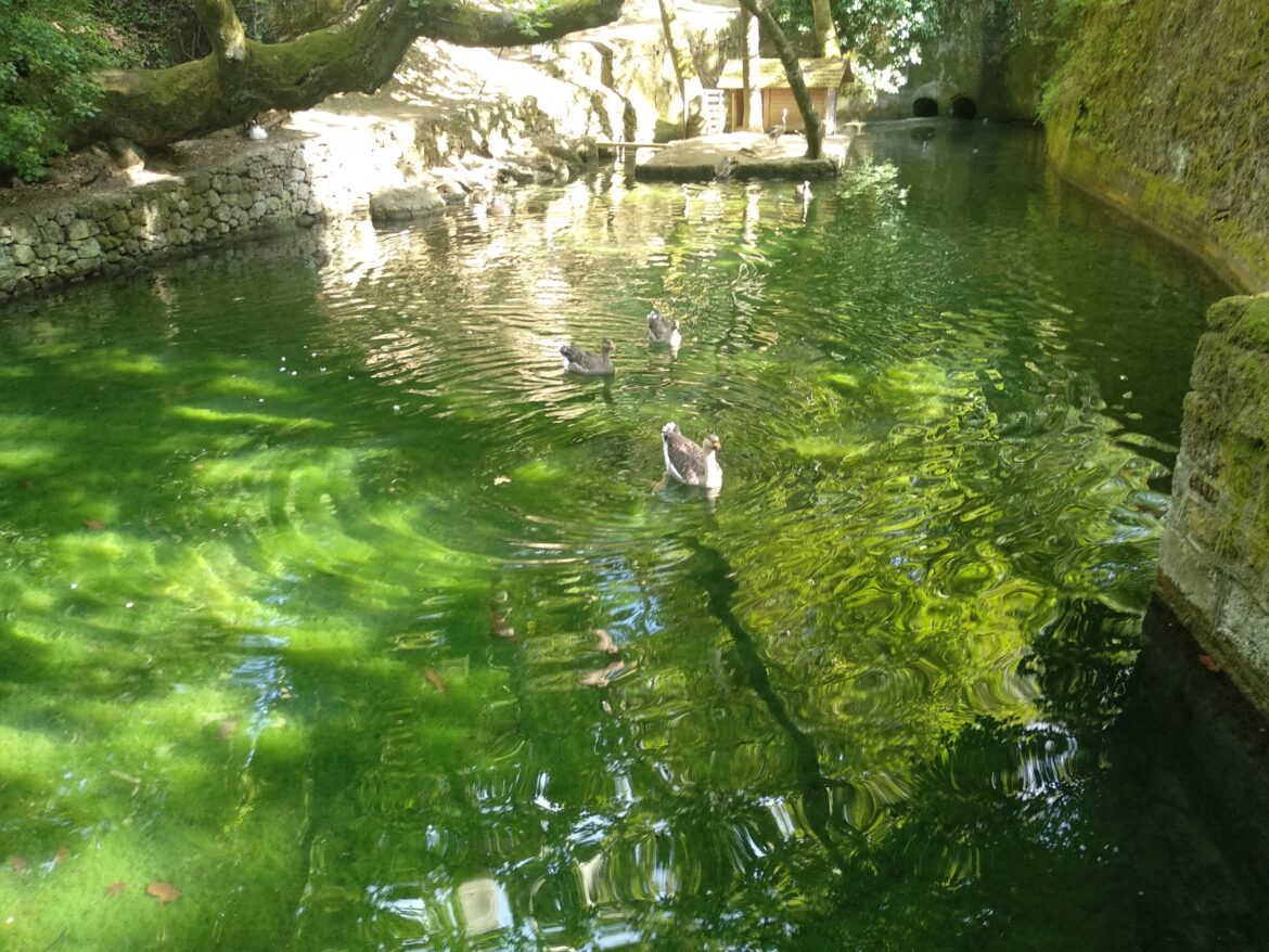 Ρέμα των Μύλων