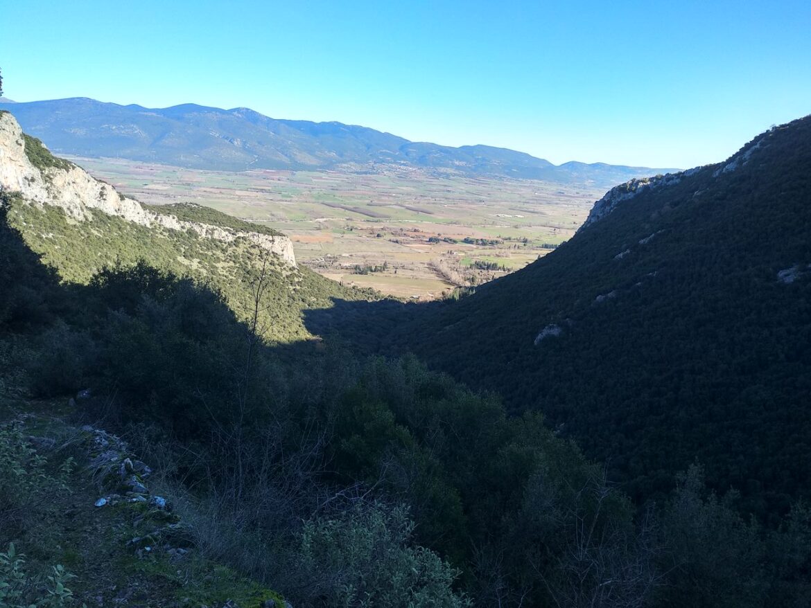 IMG_20221225_111908 Παρνασσός